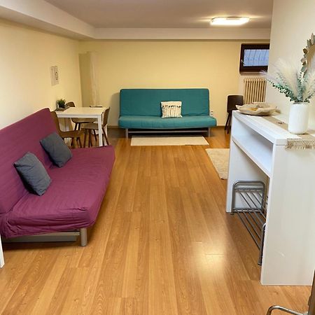 Ruhiges Privates Zimmer In Freiburg, Zentrumsnah, Naehe Europapark Exteriér fotografie