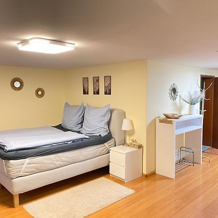 Ruhiges Privates Zimmer In Freiburg, Zentrumsnah, Naehe Europapark Exteriér fotografie