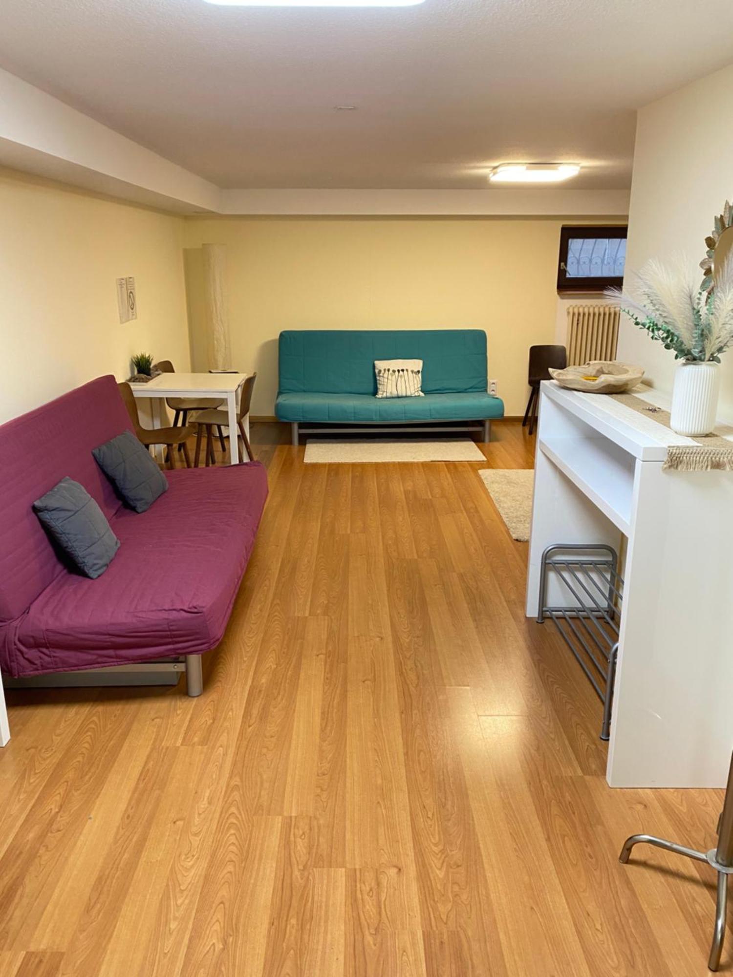Ruhiges Privates Zimmer In Freiburg, Zentrumsnah, Naehe Europapark Exteriér fotografie